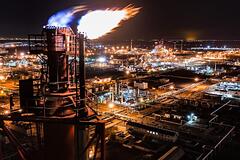В России нашли способ сократить расходы бюджета за счет нефтяников: Госэкономика: Экономика: Lenta.ru