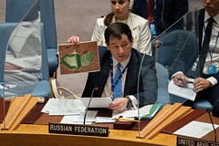Россия призвала ООН безотлагательно дать оценку инцидента в Еленовке: Политика: Мир: Lenta.ru
