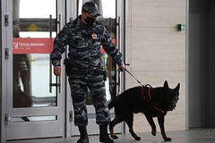 Сотни человек эвакуировали из ТЦ в Москве из-за сообщения о «минировании»: Полиция и спецслужбы: Силовые структуры: Lenta.ru