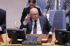 Небензя опроверг размещение Россией тяжелого вооружения на ЗАЭС: Политика: Мир: Lenta.ru