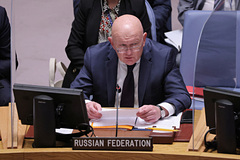 Небензя усомнился насчет заинтересованности Украины в приезде МАГАТЭ на ЗАЭС: Политика: Россия: Lenta.ru0
