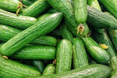 Россиянам посоветовали сезонный продукт для снижения давления: Питание и сон: Забота о себе: Lenta.ru0