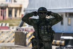 В ДНР сообщили о взятии Песков: Украина: Бывший СССР: Lenta.ru