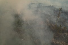 Под Николаевом из-за действий ВСУ загорелся заповедник: Украина: Бывший СССР: Lenta.ru