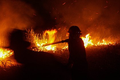 Раскрыт вред лесных пожаров и осушенных торфяников для климата