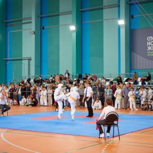 киокусинкай