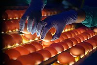 Ключевую ставку ЦБ повысили до 16%: что это значит, как скажется на рубле: Рынки: Экономика: Lenta.ru3