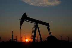 Путин распорядился лишить Wintershall и OMV доли в российских активах: Госэкономика: Экономика: Lenta.ru0