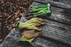 Женщина вернулась домой спустя месяц и обнаружила удивительное изменение: Дом: Среда обитания: Lenta.ru0