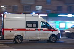 В Санкт-Петербурге третьеклассник не дошел из школы домой: Общество: Россия: Lenta.ru0