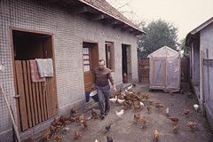 На Украине рассказали о районах гетто для венгров: Украина: Бывший СССР: Lenta.ru0