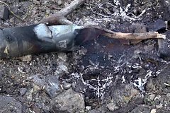 Боец рассказал об оружии ВСУ на херсонском направлении: Политика: Россия: Lenta.ru0