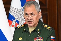 Шойгу доложил Путину о взятии Марьинки в ДНР: Политика: Россия: Lenta.ru0