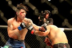 Американский боец осудил UFC за предвзятое отношение к брату Нурмагомедова: Бокс и ММА: Спорт: Lenta.ru0