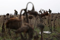 Американский генерал заявил об обескровливании Украины Вашингтоном: Политика: Мир: Lenta.ru0