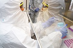 Биолог оценила опасность ожившего и атаковавшего амебу вируса из мерзлоты Сибири: Явления: 69-я параллель: Lenta.ru0