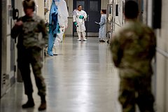 Минобороны рассказало об экспериментах США в лабораториях на Украине. Там изучали коронавирусы и миграцию летучих мышей: Политика: Россия: Lenta.ru0