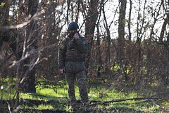 «Смешная, но опасная ситуация» Доброволец из Иордании в одиночку атаковал позиции ВСУ из-за незнания русского языка: Общество: Россия: Lenta.ru0