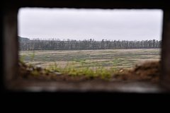 Дезертир ВСУ заявил о мародерстве чернокожих наемников: Украина: Бывший СССР: Lenta.ru0