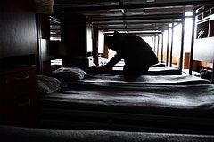 Еще один мобилизованный умер в российской части: Происшествия: Россия: Lenta.ru0