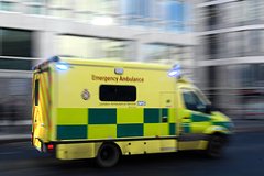 Фермер покончил с собой из-за неудачной пересадки волос: Явления: Ценности: Lenta.ru0