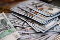 Финансист предупредила о рисках вложения в доллар и криптовалюту: Общество: Россия: Lenta.ru0