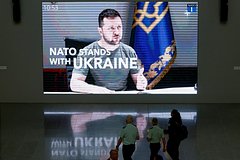 Французский политик попросил Зеленского заткнуться: Политика: Мир: Lenta.ru0