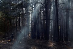 Группа украинских разведчиков попала в плен в Харьковской области: Украина: Бывший СССР: Lenta.ru0