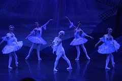 Израильский хореограф назвал дикостью попытки «отменить» русскую культуру: Культура: Lenta.ru0