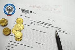 Юрист предупредил о праве ФНС узнать размер дохода россиян: Социальная сфера: Экономика: Lenta.ru0