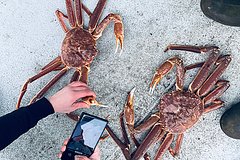 Краболов с зарплатой 600 тысяч рублей в месяц уволился и назвал причину: Люди: 69-я параллель: Lenta.ru0
