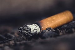 Курильщикам предсказали снижение когнитивных функций: Здоровье: Наука и техника: Lenta.ru0