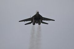 Минобороны отчиталось о сбитом украинском МиГ-29 в Николаевской области: Политика: Россия: Lenta.ru0