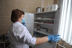 Минздрав поручил сформировать запас лекарств на четыре месяца в регионах: Общество: Россия: Lenta.ru0
