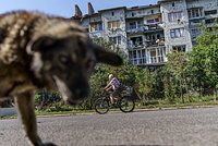 Мобилизованным москвичам рассказали о выплатах при ранении: Общество: Россия: Lenta.ru2