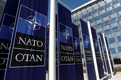 НАТО обозначила позицию по бесполетной зоне над Украиной: Политика: Мир: Lenta.ru0