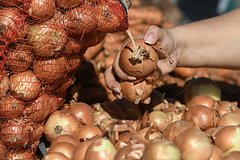 Назван самый доступный для снижения сахара в крови продукт: Питание и сон: Забота о себе: Lenta.ru0
