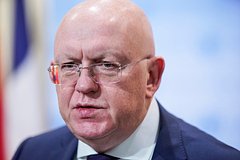 Небензя обвинил Запад в подталкивании Европы к конфронтации: Политика: Мир: Lenta.ru0