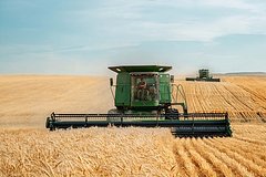 ООН пообещала России снять ограничения на вывоз зерна: Политика: Мир: Lenta.ru0