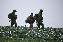 Премьер Польши назвал способ втянуть страну в военный конфликт: Политика: Мир: Lenta.ru0