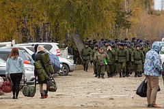 Приемная Думы приоритетно рассмотрит жалобы россиян на нарушения при мобилизации: Общество: Россия: Lenta.ru0