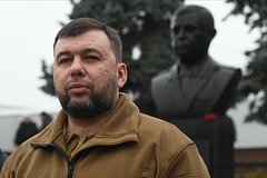 Пушилин заявил о продвижении российских сил в Донбассе: Политика: Россия: Lenta.ru0