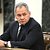 Путин поручил исправить ошибки при частичной мобилизации: Политика: Мир: Lenta.ru8