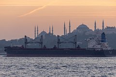 Россия обсудила с ООН зерновую сделку: Политика: Мир: Lenta.ru0