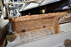 Россия увеличила экспорт пшеничной муки: Госэкономика: Экономика: Lenta.ru0
