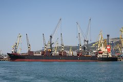 Россия запретила проход загруженных за пределами страны судов в Азовское море: Политика: Мир: Lenta.ru0