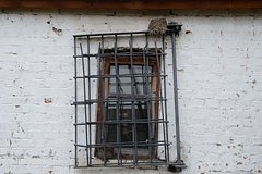 Россиянина осудили на восемь лет за избиение до смерти пожилого соседа: Следствие и суд: Силовые структуры: Lenta.ru0
