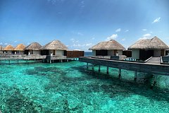 Россиянка отдохнула в экономном отеле на Мальдивах и поделилась впечатлениями: Мир: Путешествия: Lenta.ru0