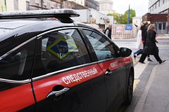 Россиянка убила дочь и новорожденную внучку: Следствие и суд: Силовые структуры: Lenta.ru0