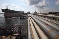 Российские власти расширили поддержку сельхозпроизводителей и животноводов: Госэкономика: Экономика: Lenta.ru2